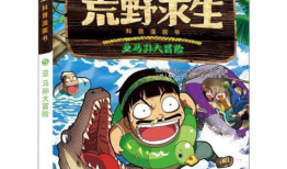 荒野求生动漫,逆境中的生存智慧与人性光辉